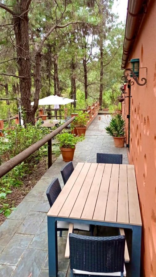 En Medio Del Bosque, El Lance Ferienhaus *