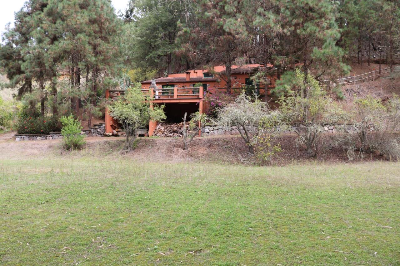 Ferienhaus En Medio Del Bosque, El Lance *