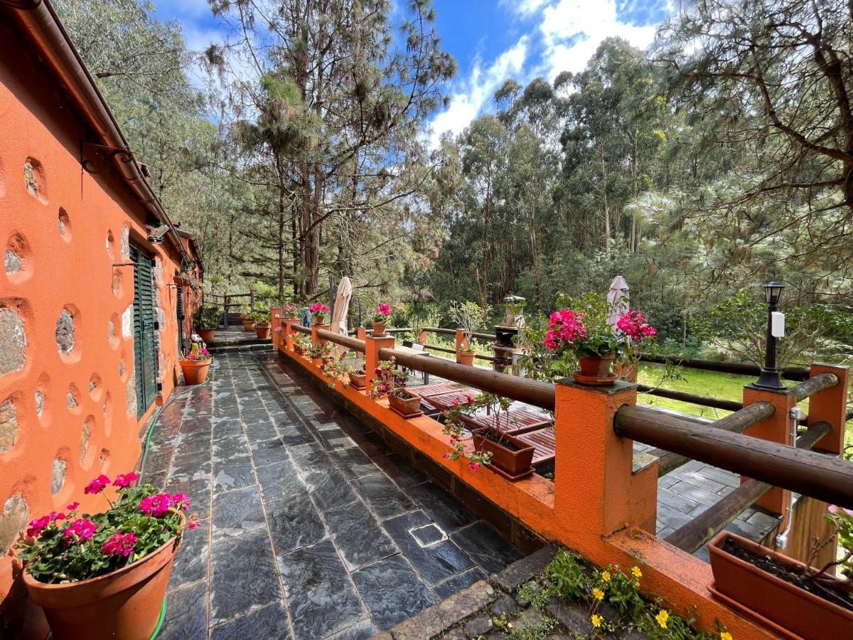 Ferienhaus En Medio Del Bosque, El Lance