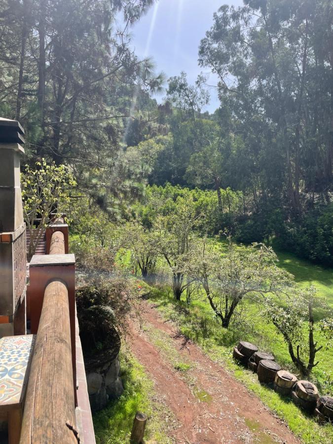 Holiday home En Medio Del Bosque, El Lance Firgas