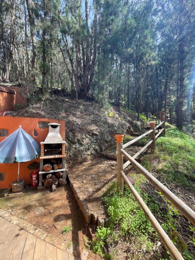 En Medio Del Bosque, El Lance * Firgas