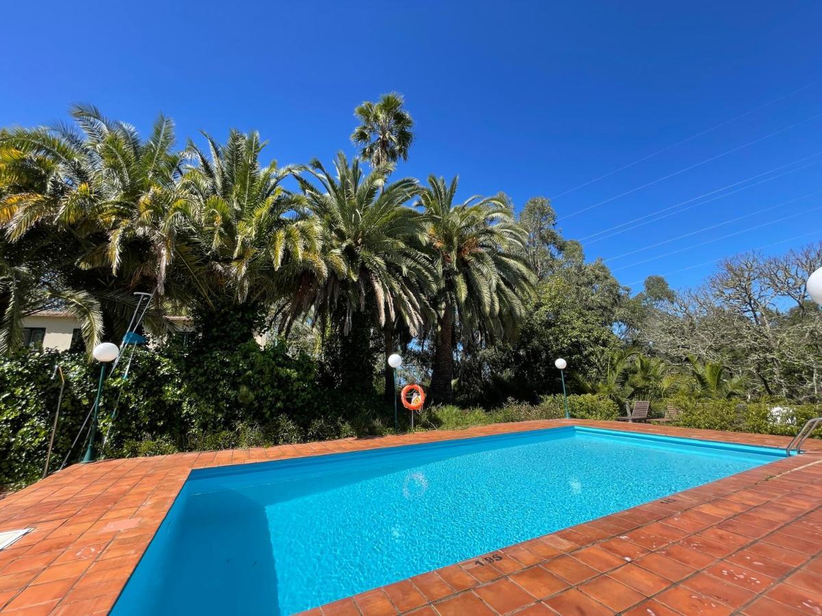 En Medio Del Bosque, El Lance Holiday home Firgas
