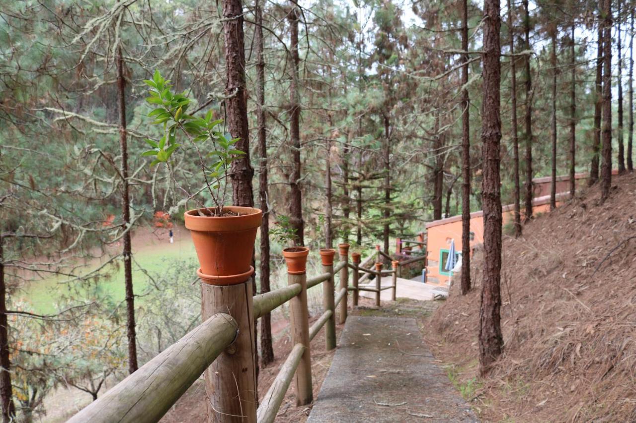 Ferienhaus En Medio Del Bosque, El Lance *