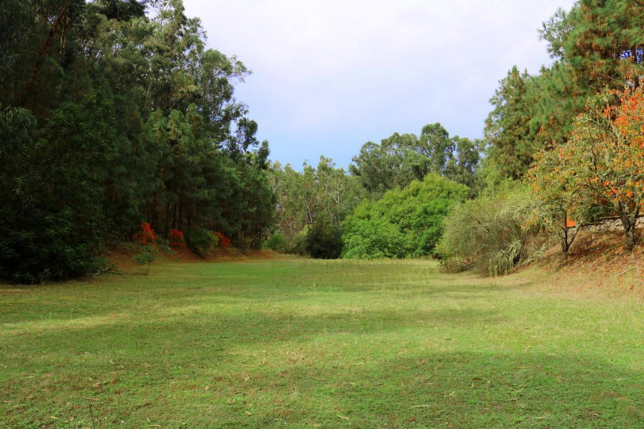 En Medio Del Bosque, El Lance Holiday home