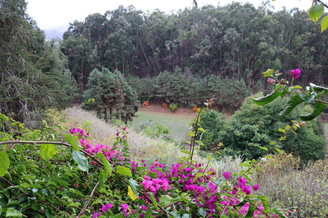 Ferienhaus En Medio Del Bosque, El Lance *