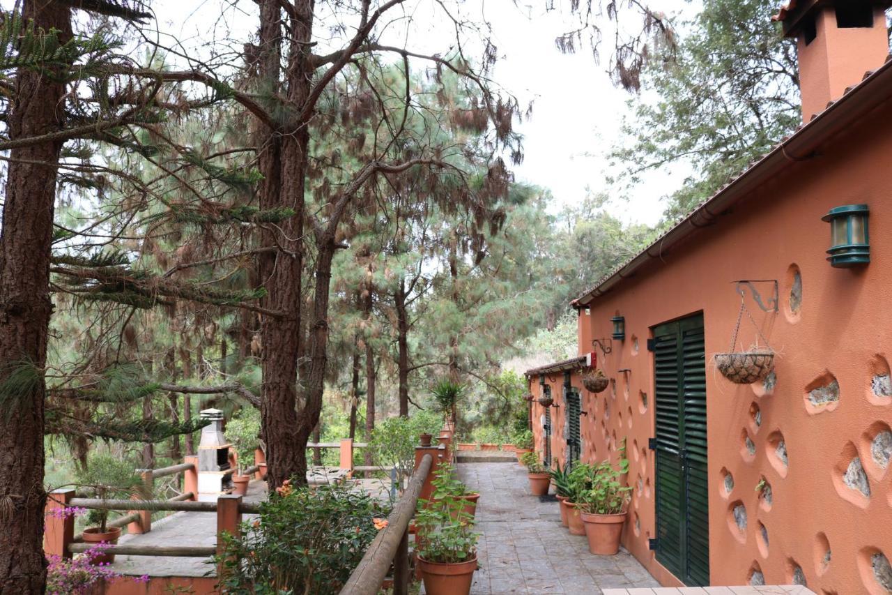 En Medio Del Bosque, El Lance Hébergement de vacances Firgas